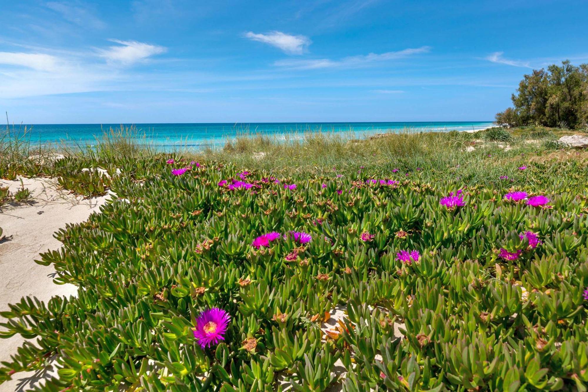 Blusea Beach Apartments San Pietro in Bevagna Buitenkant foto